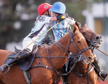 Immersive Polo in Argentina
