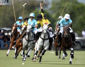 Immersive Polo in Argentina